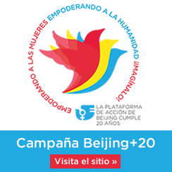 Visite el sitio web de Beijing+20